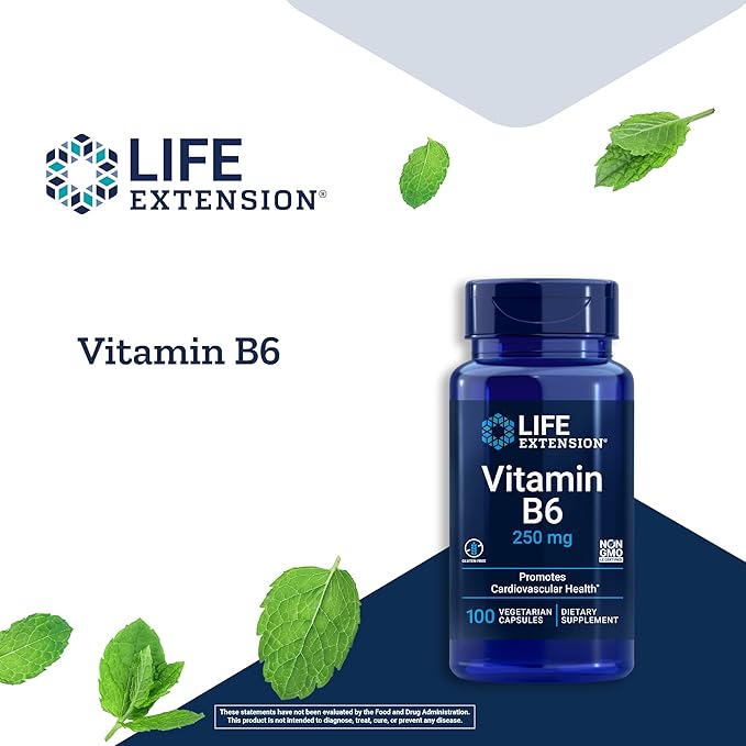 Life Extension Vitamin B6 250 mg 100 Vegetarian