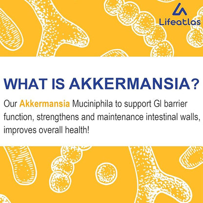 GLP-1 Supplement | 300 Billion AFU Akkermansia Muciniphila, Akkermansia Probiotic for Women Men, Akka Superbiotics for GLP-1 Production, Digestive, Gut, Immunity, Enhances Gut Lining Function, 60 Caps