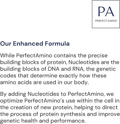 BodyHealth PerfectAmino Powder - BCAA and EAA Powder for Pre and Post Workout - Amino Acid Energy Drink Powder for Men and Women to Support Lean Muscle and Recovery - Mocha - 30 Servings