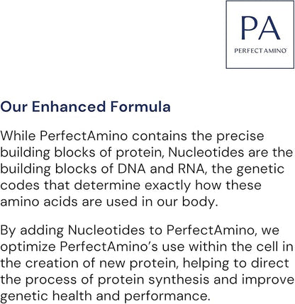 BodyHealth PerfectAmino Powder 60 Servings