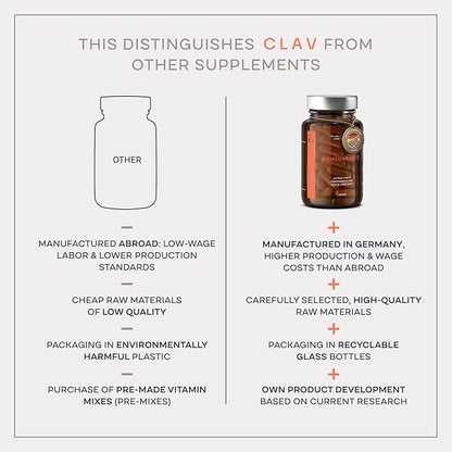 CLAV Vitamin B Complex - 120 Capsules - All 8 B Vitamins with Co-Factors Myo-Inositol & Choline - Supports Energy Metabolism - Vegan - Made in Germany