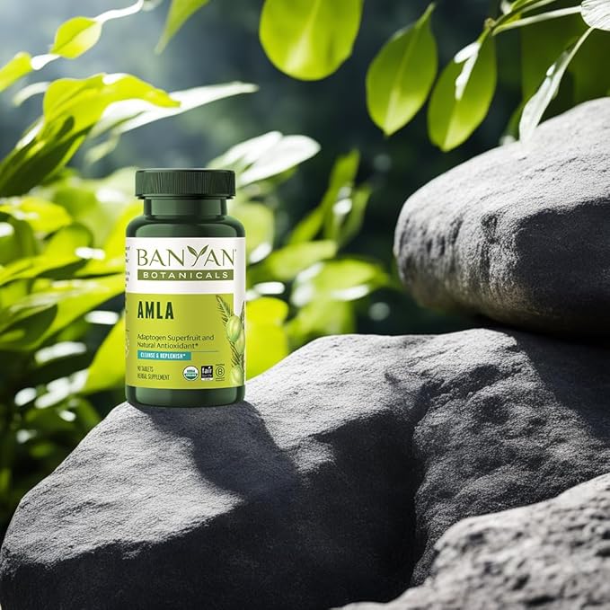 Banyan Botanicals Amla (Amalaki) Tablets – 90 Tablets