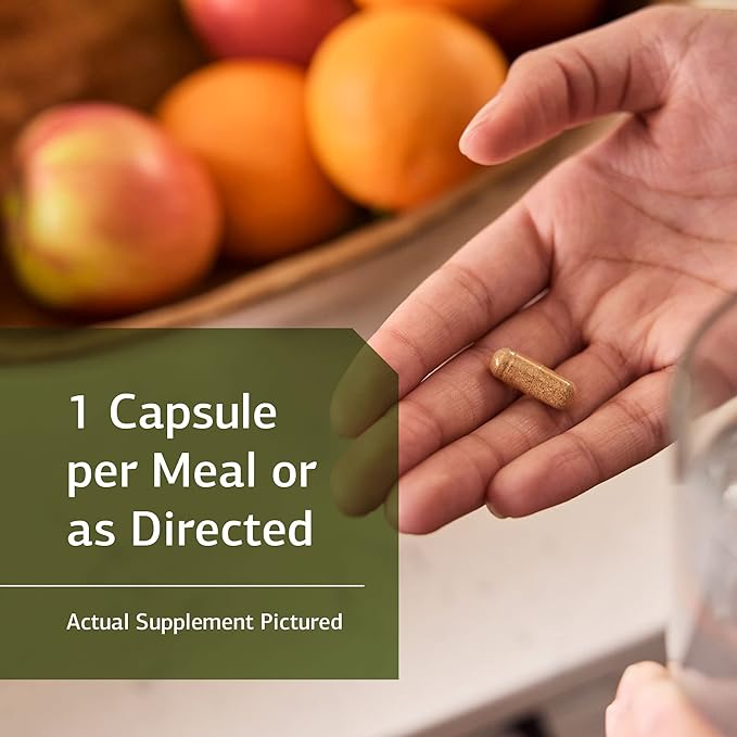 Standard Process Multizyme 90 Capsules