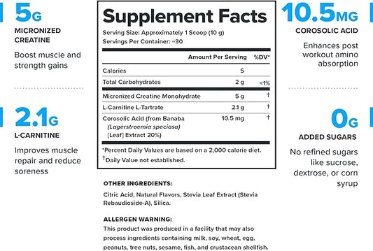 LEGION Recharge Post Workout Supplement - All Natural Muscle Builder & Recovery Drink with Micronized Creatine Monohydrate Naturally Sweetened & Flavored (Arctic Blast, 30 Servings Pack of 1)