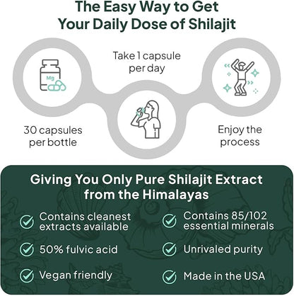 One-Per-Day Shilajit for Men and Women - Natural and Potent Shilajit Supplement for Age-Defying, Bone Strength, Hormone Support and More - 6 Bottles Shilajit Capsules