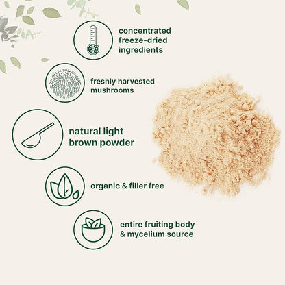 Micro Ingredients Organic Lions Mane Mushroom Supplement Powder, 16 Ounce | Natural Superfood for Brain, Energy, & Immune Health | Non-GMO Vegan
