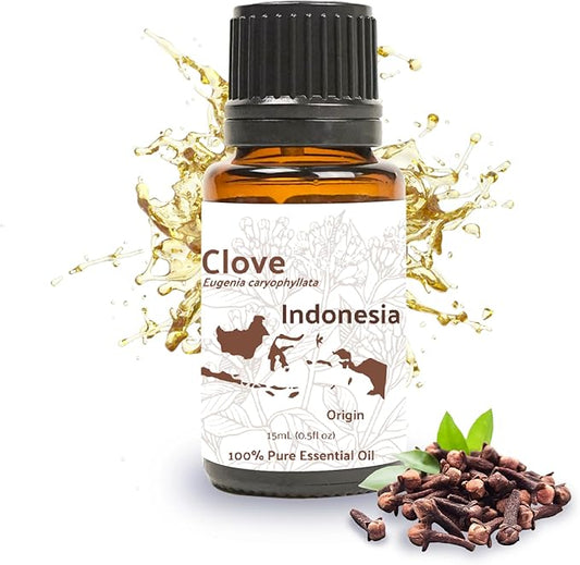 100% Pure Clove Essential Oils - Direct from Indonesian Essential Oils - Essential Oils for Diffusers Aromatherapy & Humidifiers (15ml) | Natural Cold-Pressed