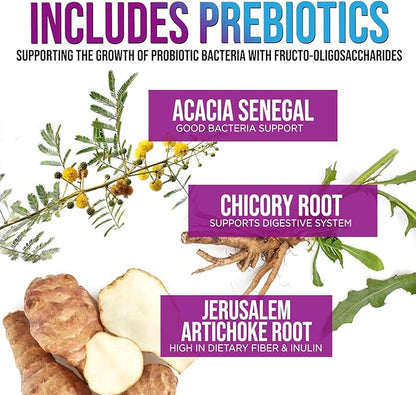 Daily Probiotic and Acidophilus Supplement 60 Billion CFU 10 Strains Capsule for Women & Men - Digestive Gut & Immune Health Support - Supports Occasional Constipation, Gas & Bloating - 60 Capsules