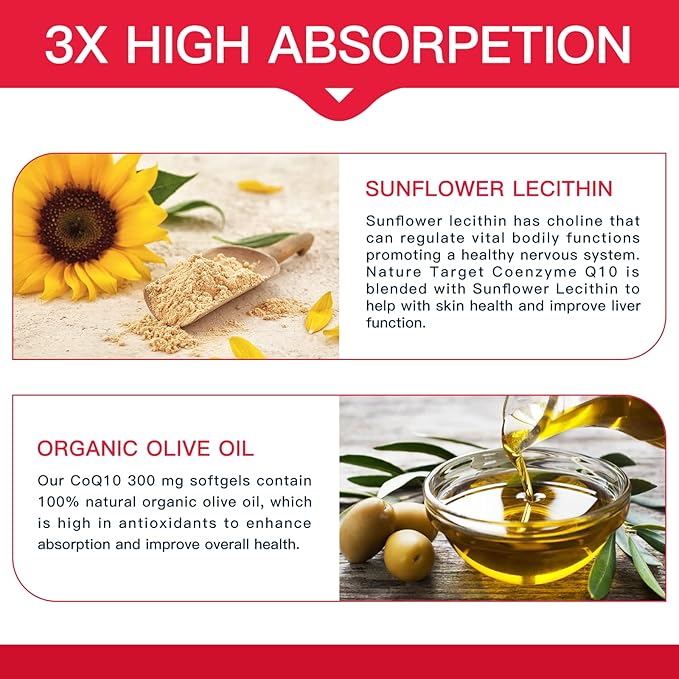 NATURE TARGET CoQ10-300mg-Softgels + PQQ with Organic-Olive-Oil Absorption-Coenzyme-Q10 - 120 Servings
