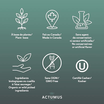 Regeneration - Antioxidant and Beta-Carotene Source 240 Vegicaps