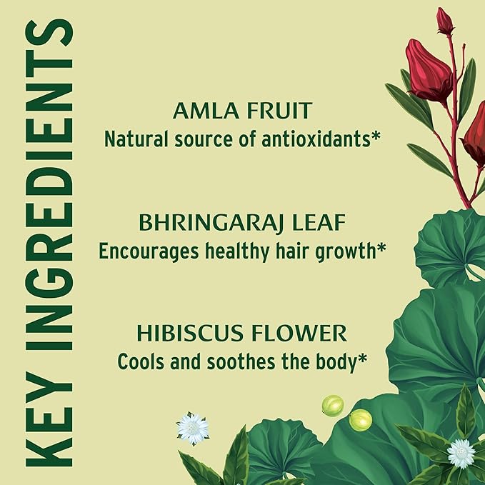 Banyan Botanicals Healthy Hair Tablets – 90 Tablets