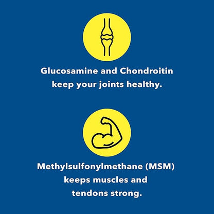 Glucosamine Chondroitin Sulfate with MSM Capsules 180 Count