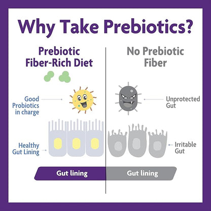 InnovixLabs Prebiotic Fiber Powder 30-Day Supply