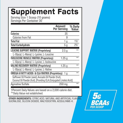 BPI Sports Best BCAA - BCAA Powder - Branched Chain Amino Acids - Muscle Recovery - Muscle Protein Synthesis - Improved Performance – Hydration – Blueberry Lemonade - 35 Servings - 12.34 oz