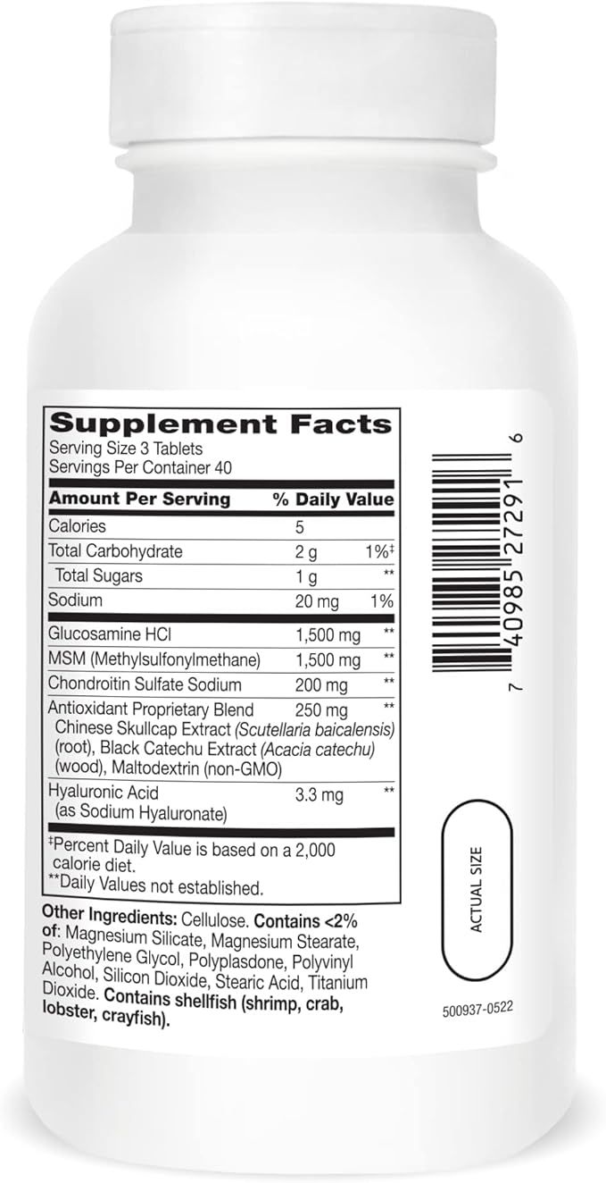 21st Century Healthcare Glucosamine Chondroitin Advanced 120 Tabs (27291)