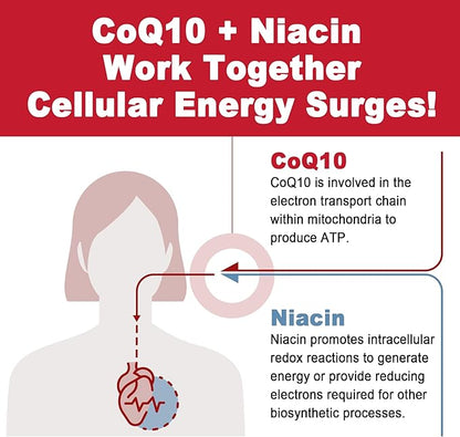 Sugar Free CoQ10 Filled Gummies 250MG, Q10 w/ B3, E CoQ10 (Ubiquinone)