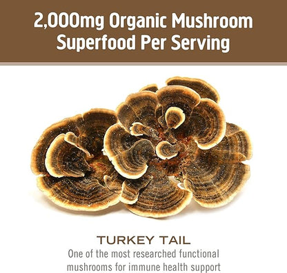Om Mushroom Superfood Turkey Tail Mushroom Capsules Superfood Supplement, 90 Count, 30 Days, Immune Support, Polysacchrides, Beta-Glucans, Gut Health & Holistic Defense Mushroom Supplement