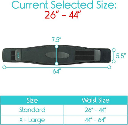 Vive Lower Back Support Brace