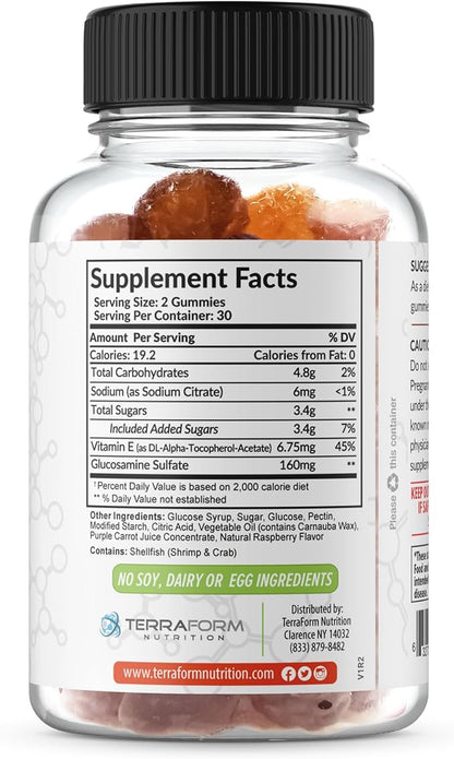 Terraform Nutrition Extra Strength Joint Support 60 Count