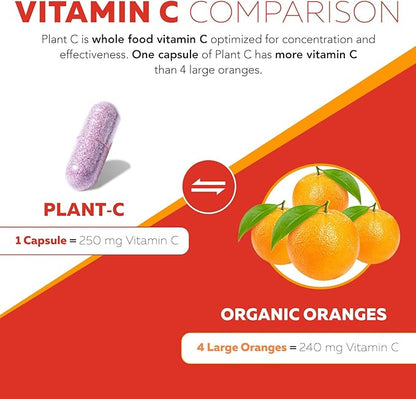 Organic Vitamin C (90 Servings)