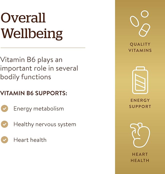 Solgar Vitamin B6 25 mg, 100 Tablets 100 Servings