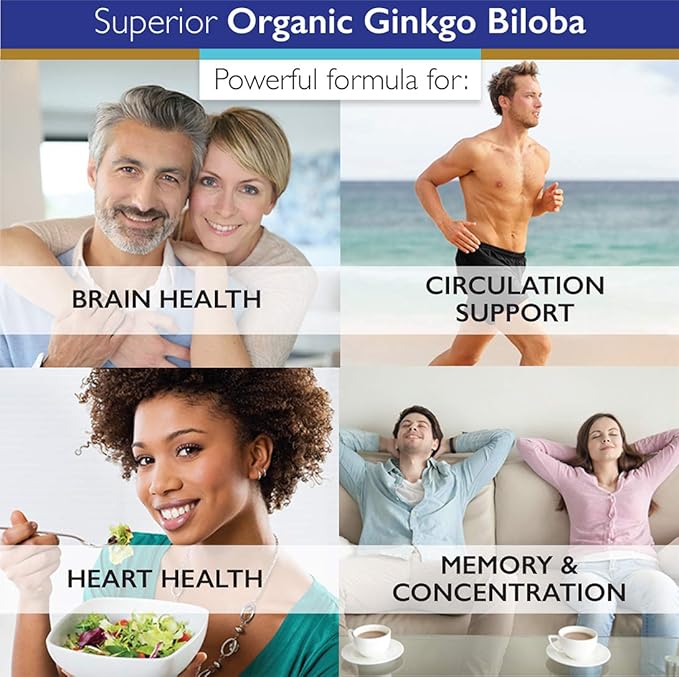 Superior Labs - Organic Ginkgo Biloba 1200mg, 120 120 Vegetable
