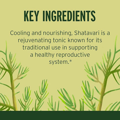 Banyan Botanicals Shatavari Tablets – Organic 90 Tablets