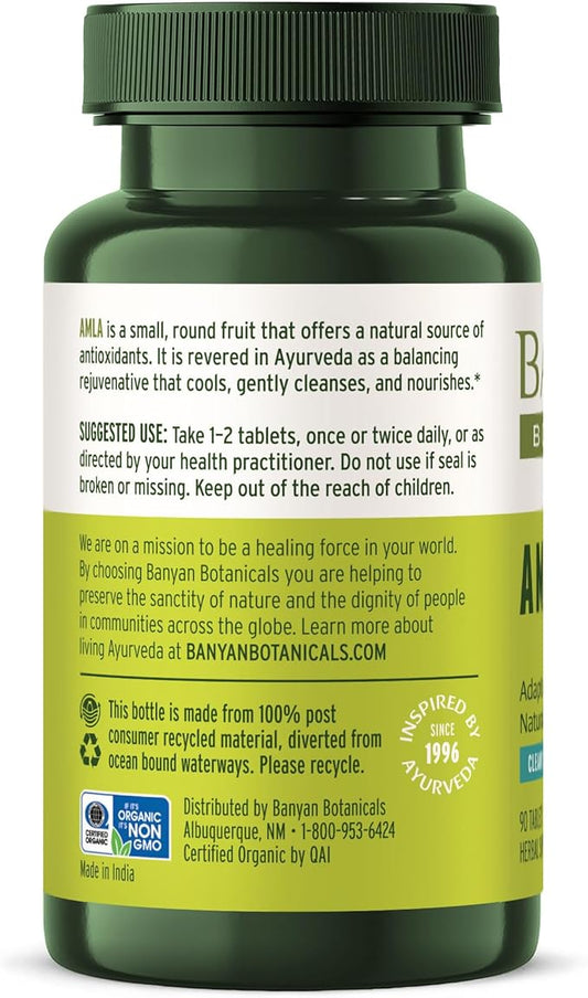 Banyan Botanicals Amla (Amalaki) Tablets – 90 Tablets
