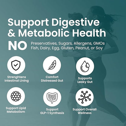 Akkermansia Muciniphila Probiotics for Digestive Health - 5 Billion TFU Akkermansia Probiotic for Leaky Gut Repair and Immunity, Prebiotics and Probiotics for Women and Men, 60 Vegan Capsules