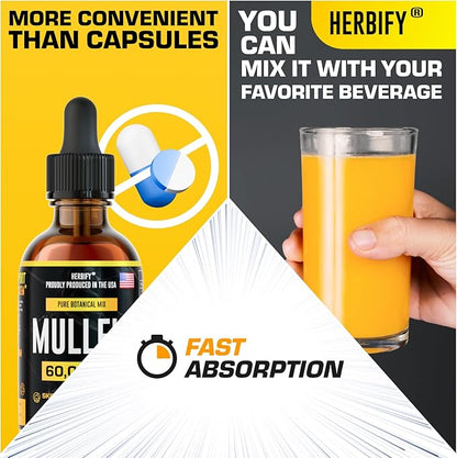 HERBIFY Mullein Extract 2 oz, Alcohol-Free