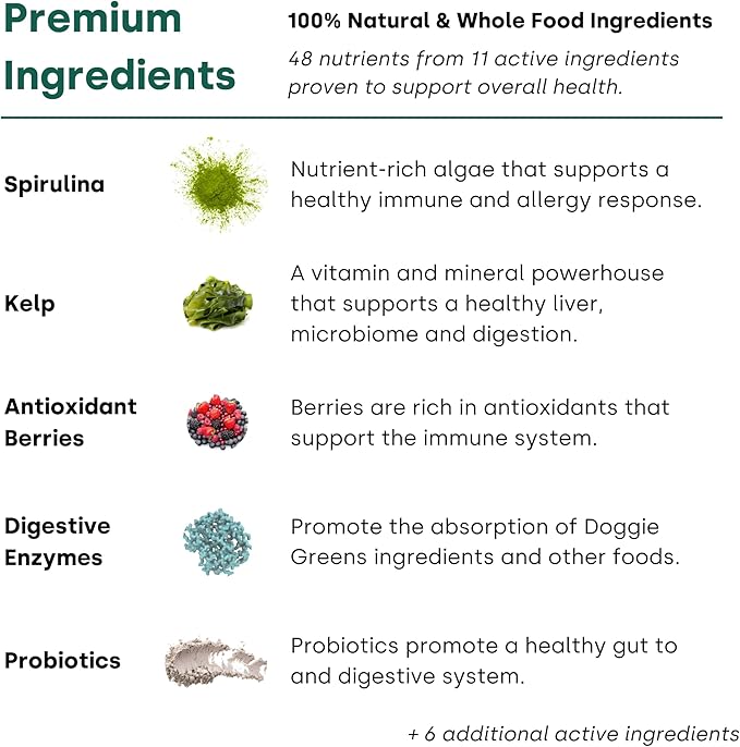 Doggie Greens - Natural Dog Vitamins & Probiotics for Dogs. No Messy Powder. Includes Spirulina, Kelp & Antioxidant Berry Mix. 6-in-1 Dog Supplements & Vitamins Chews. Super Greens for Dogs.