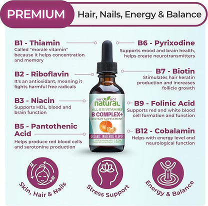 Why Not Natural Vitamin B Complex Liquid Drops - Supplement for Women - Vegan and Sublingual Forms of B1 B2 B3 B5 B6 Biotin Folate and Choline - Plus Blend for Energy Support