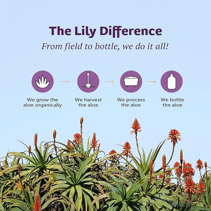 Lily of the Desert Aloe Vera Juice - Organic, Preservative-Free Inner Fillet Aloe Vera Drink with Natural Digestive Enzymes for Gut Health, Stomach Relief, Wellness, Glowing Skin, 128 Fl Oz