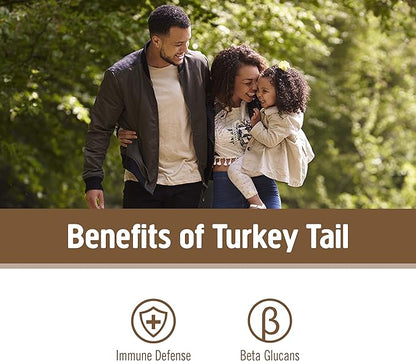 OM MUSHROOM SUPERFOOD Turkey Tail Organic Mushroom Powder, 3.5 Ounce, 50 Servings, Immune Support, Polysacchrides, Beta-Glucans, Gut Health & Holistic Defense Mushroom Supplement