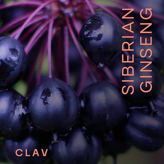 CLAV® Siberian Ginseng 900mg Eleuthero 60 Ginseng
