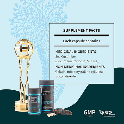 Wild Sea Cucumber Supplement Capsules Antioxidant Healthy Energy Supplement with Fucosylated Chondroitin Sulfate Collagen Glycosides Vitamins Minerals(Pack of 6)