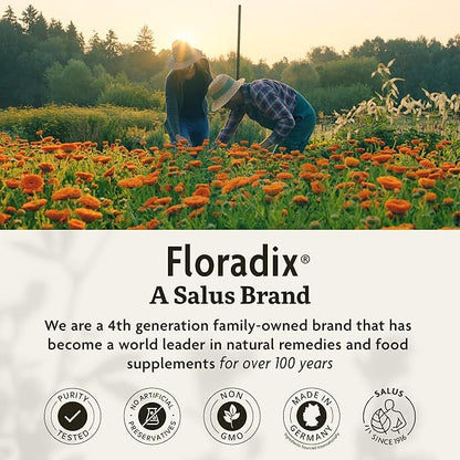 Floradix Floravital Liquid Iron & Vitamins Formula - Liquid Iron Supplement with B Complex Vitamins, Vitamin C & Herbs for Energy Support - Vegan, Gluten-Free, Yeast- Free, Non-GMO - 17 oz