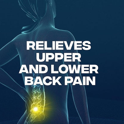 Advil Dual Action Back Pain Caplets 250mg Ibuprofen 500mg Acetaminophen 8 Hours 144 Count