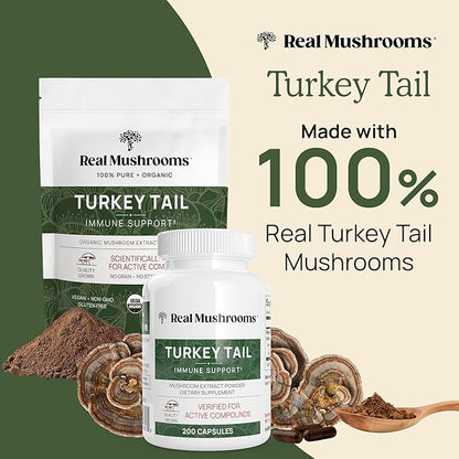 Real Mushrooms Turkey Tail Capsules - Organic Mushroom Supplement with Potent Turkey Tail Mushroom Extract for Gut, Energy, Brain, & Immune Support - Vegan Mushroom Extract, Non-GMO, 90 Caps