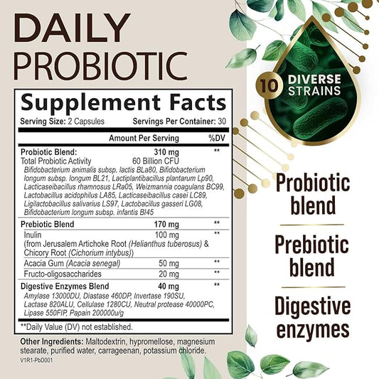 Daily Probiotic and Acidophilus Prebiotic Supplement 60 Billion CFU Capsule for Women & Men - 10 Diverse Strains - for Bloating Gas & Digestive Gut & Immune Health Support, Gluten Free - 60 Capsules