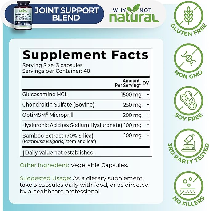 Why Not Natural Glucosamine Chondroitin, MSM, Joint Support Supplements - Knee Pain Joints Health Suppplement