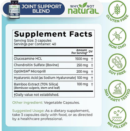Why Not Natural Glucosamine Chondroitin, MSM, Joint Support Supplements - Knee Pain Joints Health Suppplement