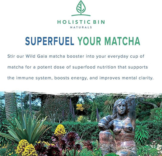 Organic Mushroom Matcha Booster