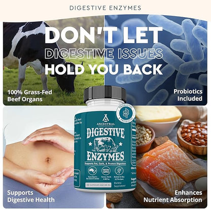 Ancestral Supplements Digestive Enzymes for Women & Men, 90 Capsules, with Probiotics and Grass Fed Beef Organs, Supports Gut Health, Digestive Health & Nutrient Absorption, Allergen Free, Non GMO