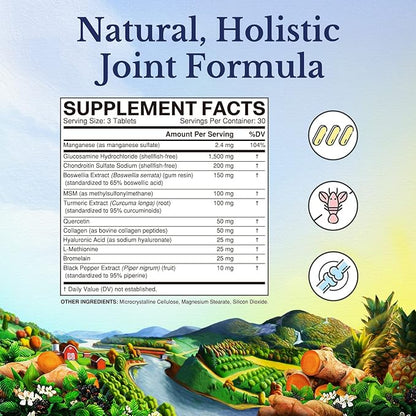 VITALITOWN Glucosamine Chondroitin MSM 12 Joint-Loving 90 Tablets,