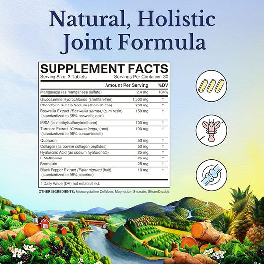 VITALITOWN Glucosamine Chondroitin MSM 12 Joint-Loving 90 Tablets,