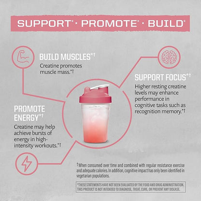 Creatine Monohydrate Powder Micronized PreWorkout Recovery Supplement (50 Servings)