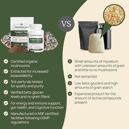 Real Turkey Tail Powder - Organic Mushroom Supplement with Potent Mushroom Extract for Gut, Energy, Brain, & Immune Support - Vegan, Non-GMO, 45 Servings