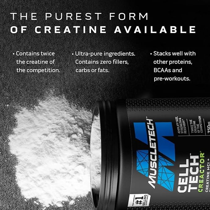 MuscleTech Cell-Tech Creactor - Creatine HCl Formula - Muscle Builder for Men & Women - Creatine HCl + Free-Acid Creatine Supplements - Fruit Punch Extreme, 120 Servings