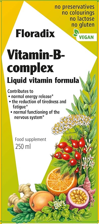 Floradix Vitamin B Complex Liquid Formula, 250 ml